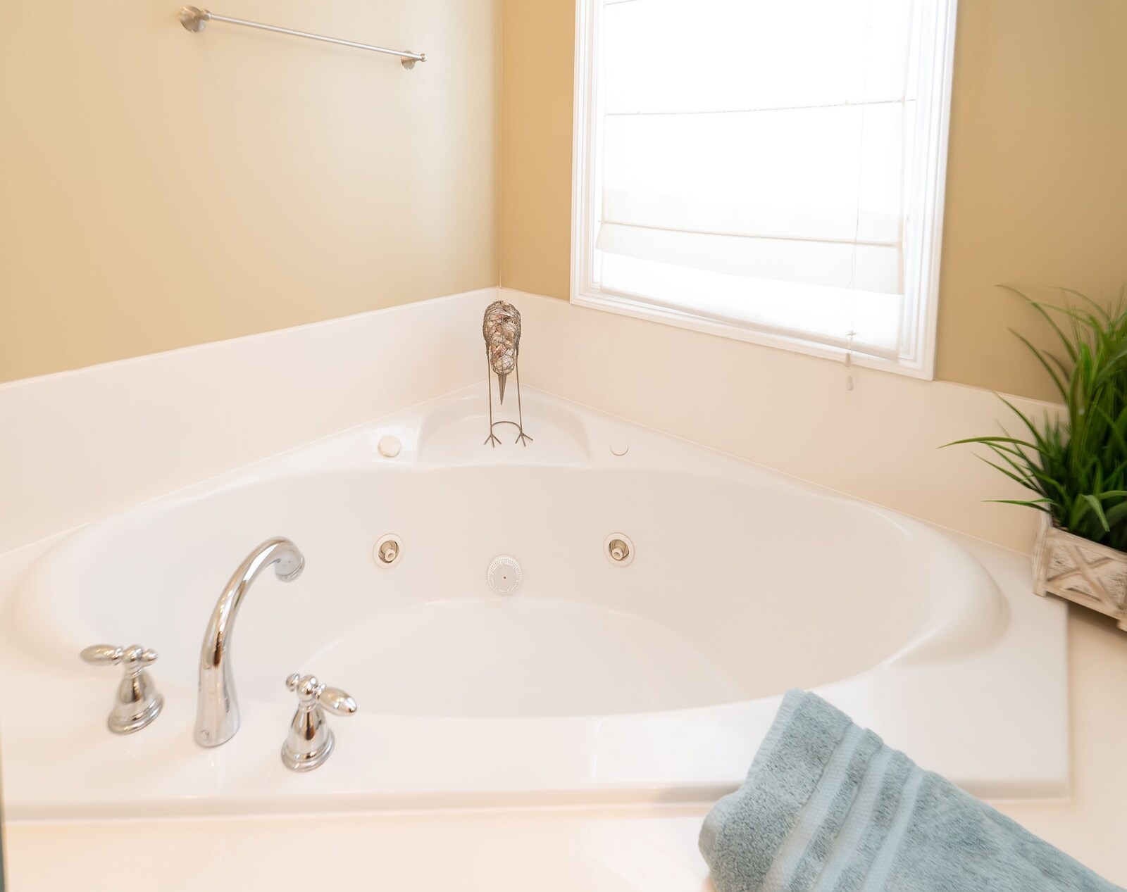 bathroom grab bar, indoor, bathroom, jetted tub, daytime at Albacore Adventure PCB