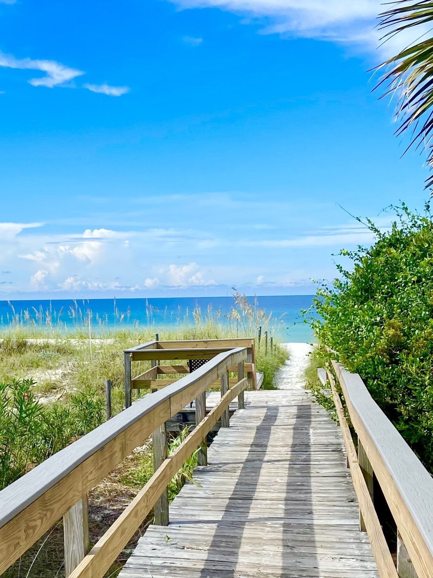 outdoor, body of water, summer, beach, beach visible, daytime at Albacore Adventure PCB
