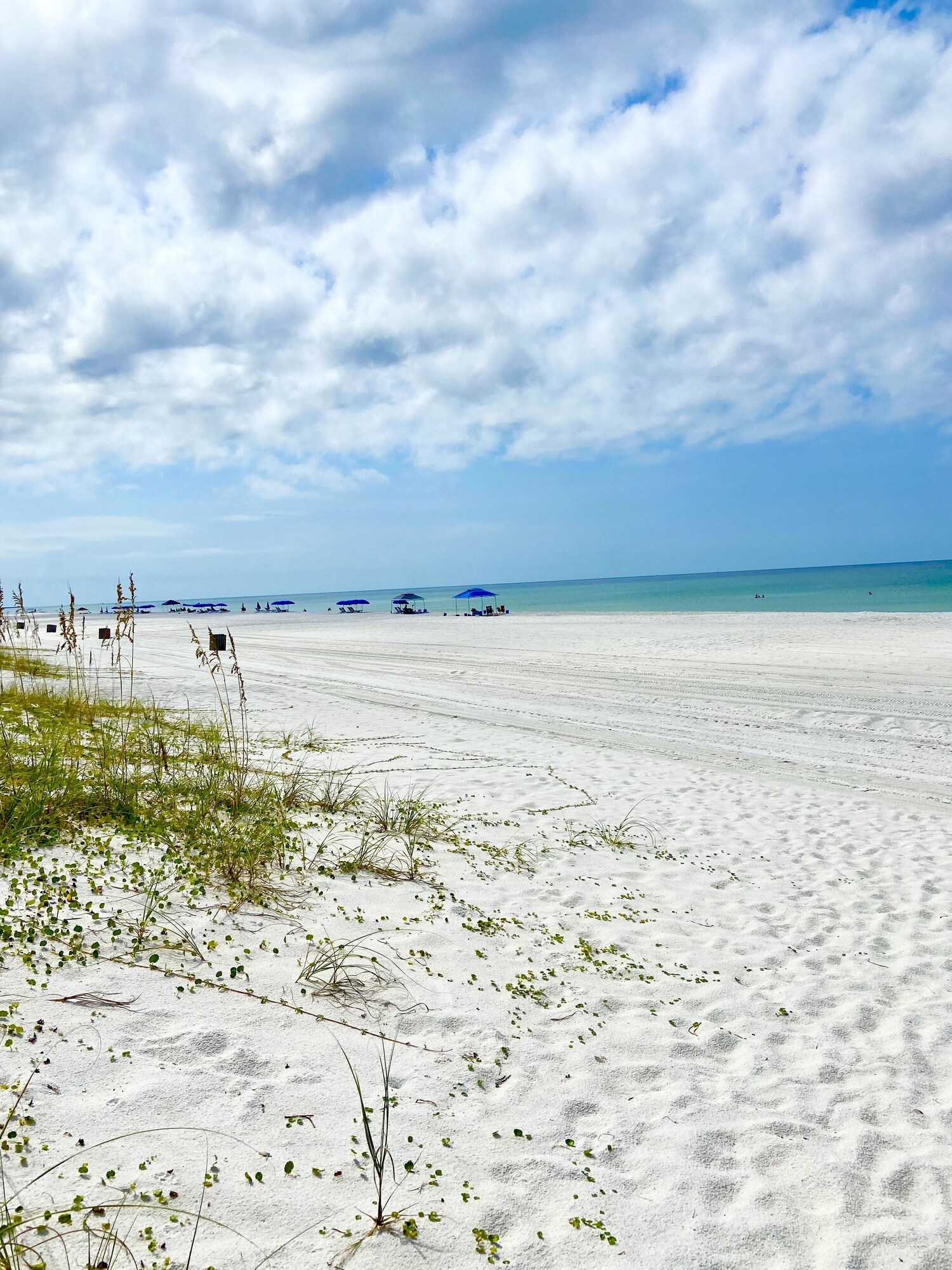 outdoor, body of water, summer, beach, beach visible, daytime at Albacore Adventure PCB