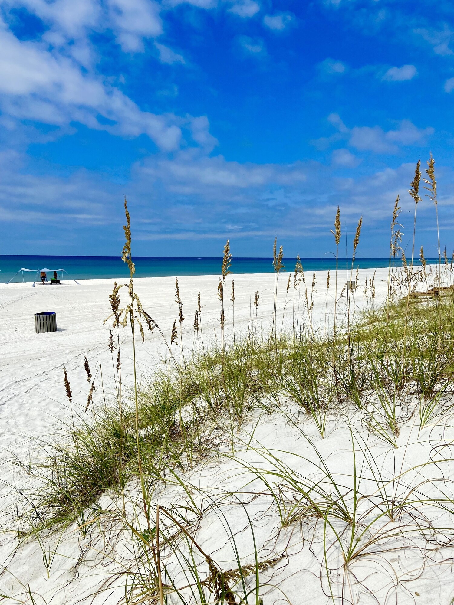 outdoor, body of water, summer, beach, beach visible, daytime at Albacore Adventure PCB